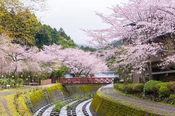 Nagaizumi Sansou Hotel Gotemba Bagian luar foto